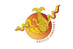Bhutan Airlines
