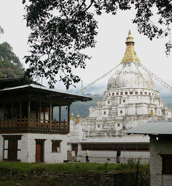 Save when you travel with us