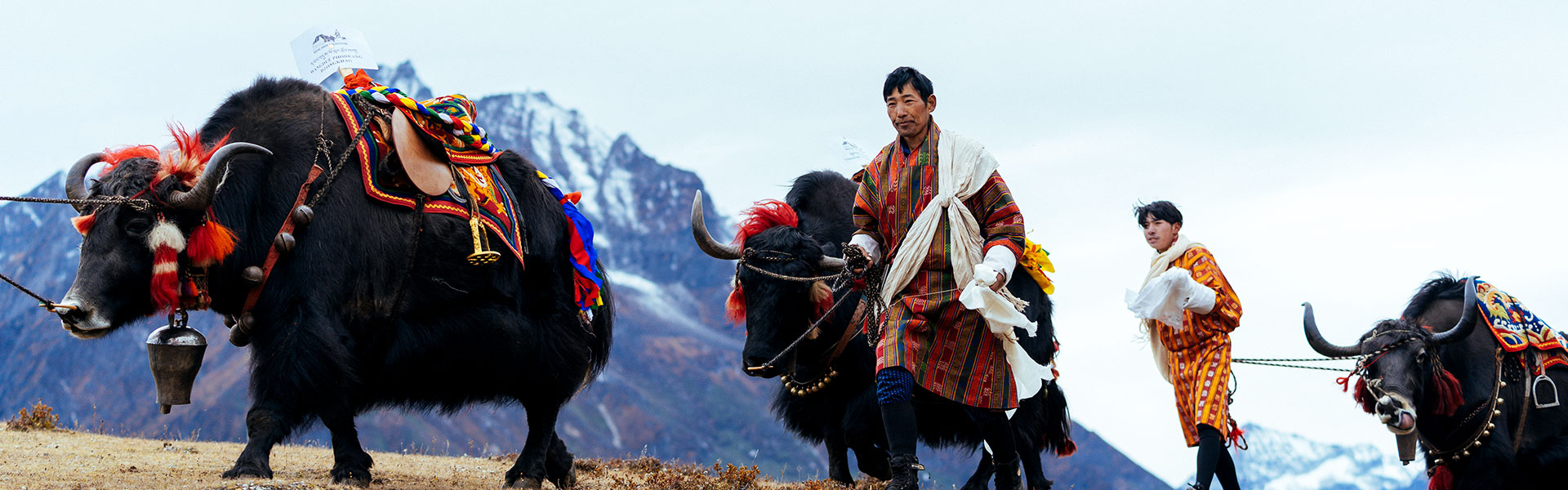 11 Nights 12 Days Royal Highlander Festival Tour