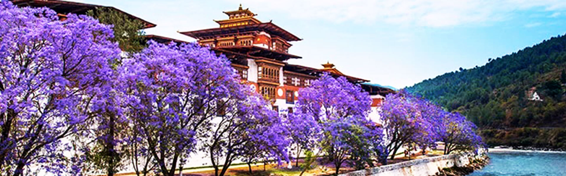 8 Nights 9 Days Bhutan spring season Tour. Thimphu, Punakha, Gangtey & Paro