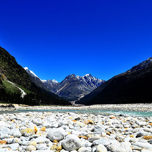 Yumthang Valley of Flowers