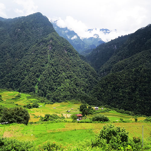 Jigme Dorji National Park